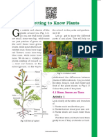 Science 6th Lesson 2