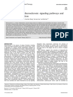 In Ammation and Atherosclerosis: Signaling Pathways and Therapeutic Intervention