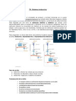 Sistema Endocrino - p1 Fib