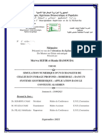 Merwa Rania Mémoire Master Finale