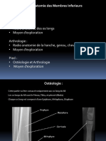 4-Radioanatomie Membre Inferieur