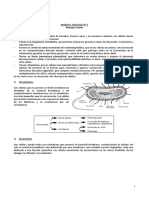 G PAES BIO IVºD Célula 2023