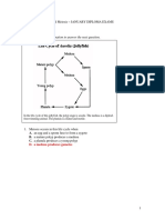 DNA Review Questions KEY