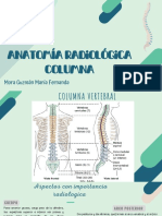 Anatomia Radiologica Columna Exposicion