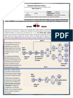 Guía Meiosis