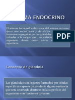 Sistema Endocrino