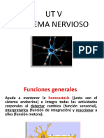 Somatico Vs Autonomo