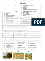 Guía de Actividades Neolitico y Edad de Los Metales