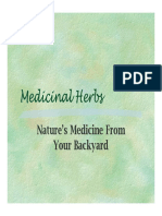 Herbs Natures Meds From Your Backyard