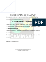 Certificado Camin