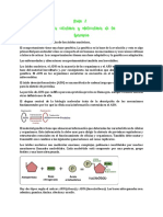 Psicobio Tema 2