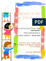 Proiect Dec2 Pictura