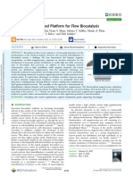 Magnetosome-Based Platform For Flow Biocatalysis - Mittmann 2022