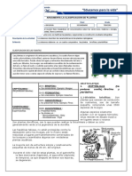 3b-Cyt-Biologia-Plantas-Silvia Carcausto