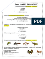 Moasser All Tests On Unit Two 2nd Term