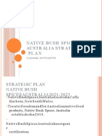 Native Bush Spices Australia Strategic Plan