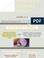 Sesion Nº3 Desarrollo Cerebral Fetal