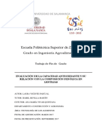 TG - VICENTE PASUCAL, Laura - Evaluación de La Capacidad Antioxidante