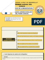 Organos Jurisdiccionales Del Poder Judicial