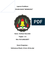 Laporan Praktikum Morfologi Daun Mengkudu