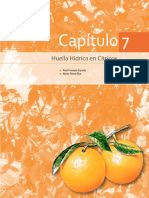 Huella Hídrica en Mandarina