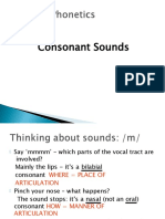 Consonants, Vowels, and Dhipthongs