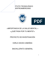 Proyecto de Inv. Inv. Aplicada