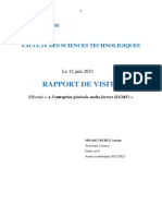 Rapport de Visite Arsenic