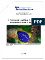 8.23 o Ensino Da Historia e Cultura Afro Brasileira e Indigena