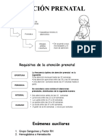 Intervenciones Del Obstetra en La Estrategia Salud Sexual y Reproductiva