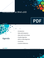 Introduction To SRv6 USID Technology