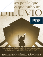 Aplogética Razones Por La Que Creemos Que Hubo Un Diluvio - Rolando Perez