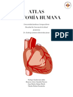 Atlas Anatomía