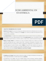 Derecho Ambiental Clase No. 1