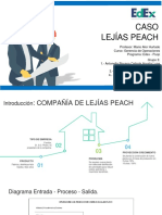 G3 - Resolucion Caso Lejias Peach Edex 2023