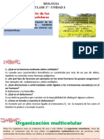 Clase 17 Unidad 3 2BGU Organizacion de Los Organismos Multicelulares