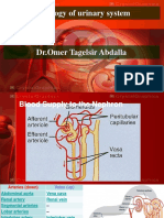 Histology of Urinary System F - 084046