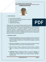 Curriculum Vitae Danieljarvio 2023