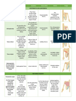 Upper Limb Muscles Only