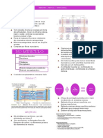 Revisao Prova 2 Fisio