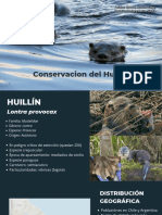 Conservación Del Huillín