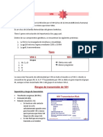 Tipos VIH-1 VIH-2: Grupos