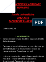 Anatomie Generale