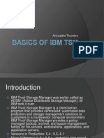 Ibmtsm 100325083335 Phpapp01