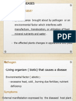 Corn Diseases