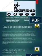 BIOSEGURIDADDPS