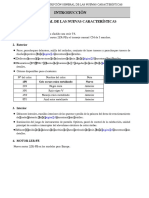 Nuevas Caracteristicas Del Vehiculo Yaris 2006-2013 Español