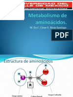 Metabolismo de Aminoácidos