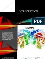 Presentacion Enzimas