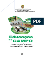 Guiia Pedagogico